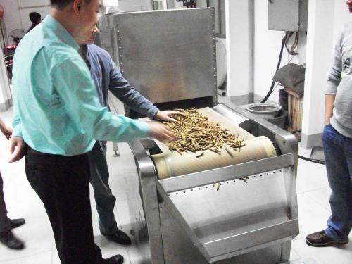 微波食品干燥杀菌设备应用与介绍