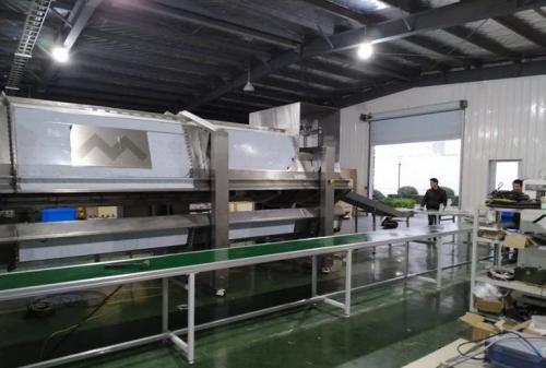 微波解冻设备技术分析