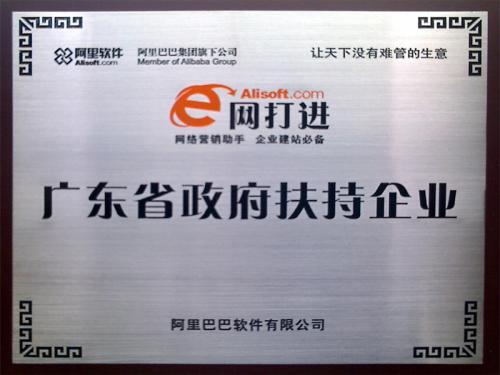 广东省政府扶持企业
