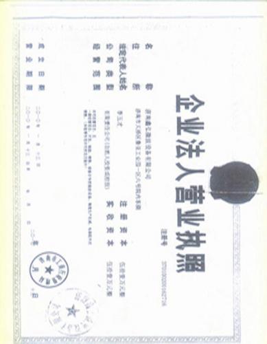 企业法人营业执照